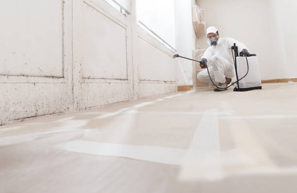 24/7 Emergency Mold Remediation experts in Strasburg, VA
